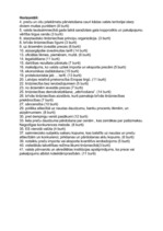 Konspekts 'Krustvārdu mīkla "Starptautiskā tirdzniecība"', 3.