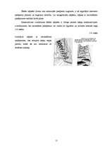 Referāts 'Kokmateriālu kāpnes', 13.