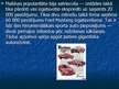Prezentācija 'Ford autobūves vēsture', 7.