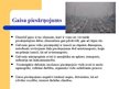 Prezentācija 'Globālās vides pārmaiņas', 6.