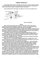 Konspekts 'Urīnizvadorgāni', 1.