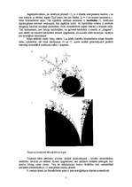 Konspekts 'Par sarežģītību matemātikā. Fraktāļi', 3.