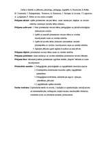 Diplomdarbs 'Latviešu bērnu folklora kā pirmsskolas vecuma bērnu runas un valodas attīstības ', 6.