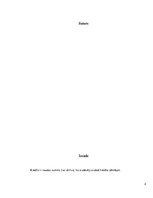 Referāts 'Ātro kredītu veidi, to izmantošanas riski no 24-40 gadiem', 2.