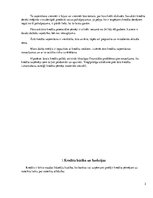 Referāts 'Ātro kredītu veidi, to izmantošanas riski no 24-40 gadiem', 3.