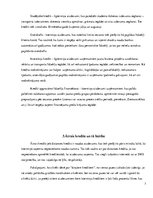 Referāts 'Ātro kredītu veidi, to izmantošanas riski no 24-40 gadiem', 7.