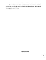 Referāts 'Ātro kredītu veidi, to izmantošanas riski no 24-40 gadiem', 19.