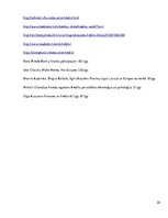 Referāts 'Ātro kredītu veidi, to izmantošanas riski no 24-40 gadiem', 22.