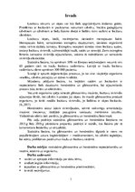 Referāts 'Hondroitīna un glikozamīna lietošana mūsdienīgā medicīnā', 3.