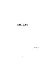Referāts 'Hondroitīna un glikozamīna lietošana mūsdienīgā medicīnā', 18.