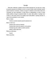 Referāts 'Pusaudžu saskarsmes stils', 3.