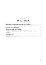 Referāts 'Kultūras (teātru) nozares raksturojums, specifika Rīgā', 2.