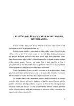 Referāts 'Kultūras (teātru) nozares raksturojums, specifika Rīgā', 3.