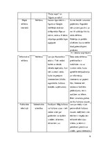 Referāts 'Kultūras (teātru) nozares raksturojums, specifika Rīgā', 9.