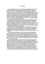 Eseja 'Es un kultūra', 1.