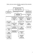 Prakses atskaite 'Īpašo uzdevumu ministra sabiedrības integrācijas lietās sekretariāts', 5.