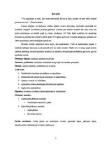 Referāts 'Konflikti jauniešu starpā', 5.