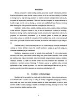 Referāts 'Konflikti jauniešu starpā', 6.