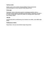 Konspekts 'Bezmiegs', 3.