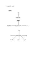 Referāts 'Strukturālisms Laimas Līvenas dzejolī "Mājas"', 6.