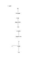 Referāts 'Strukturālisms Laimas Līvenas dzejolī "Mājas"', 8.