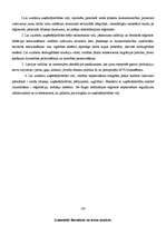 Referāts 'Uzņēmējdarbības vide', 28.