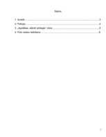 Referāts 'Policijas darbība', 1.