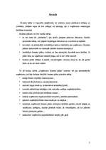 Biznesa plāns 'Biznesa plāns', 1.