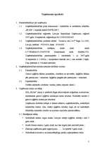 Biznesa plāns 'Biznesa plāns', 2.