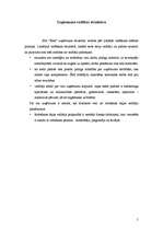 Biznesa plāns 'Biznesa plāns', 4.