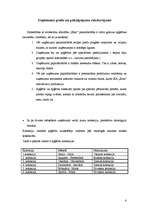 Biznesa plāns 'Biznesa plāns', 5.