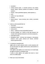 Biznesa plāns 'Biznesa plāns', 11.