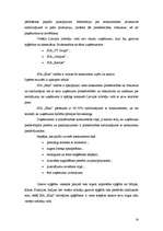 Biznesa plāns 'Biznesa plāns', 13.