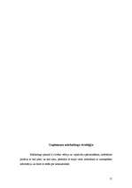 Biznesa plāns 'Biznesa plāns', 14.