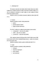 Biznesa plāns 'Biznesa plāns', 19.