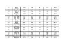 Biznesa plāns 'Biznesa plāns', 24.