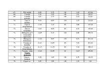 Biznesa plāns 'Biznesa plāns', 28.