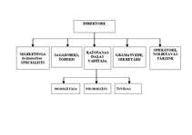 Biznesa plāns 'Biznesa plāns', 31.