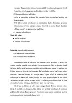 Prakses atskaite 'Bērna psiholoģiskās izpētes prakse', 2.