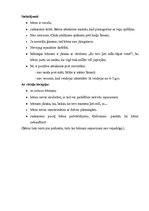 Prakses atskaite 'Bērna psiholoģiskās izpētes prakse', 5.