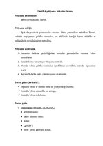 Prakses atskaite 'Bērna psiholoģiskās izpētes prakse', 6.