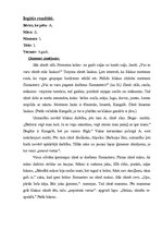 Prakses atskaite 'Bērna psiholoģiskās izpētes prakse', 8.