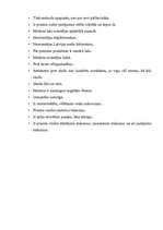 Prakses atskaite 'Bērna psiholoģiskās izpētes prakse', 29.