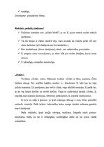 Prakses atskaite 'Bērna psiholoģiskās izpētes prakse', 40.