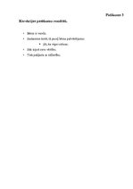 Prakses atskaite 'Bērna psiholoģiskās izpētes prakse', 46.