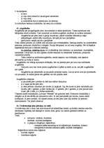 Konspekts 'Ģimenes tiesības - eksāmena jautājumi un atbildes', 19.