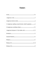 Referāts 'Anglicismi un to pielietojums', 2.
