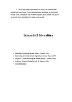Referāts 'Anglicismi un to pielietojums', 18.