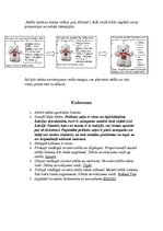 Konspekts 'Attēlu ievietošana, izmēru un novietojuma maiņa dokumentā', 4.