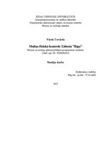 Referāts 'Muitas fiziskā kontrole lidostā "Rīga"', 1.